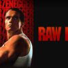 Raw Deal - A Gritty, Explosive Revenge Thriller