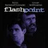 Flashpoint - A Tense Political Thriller