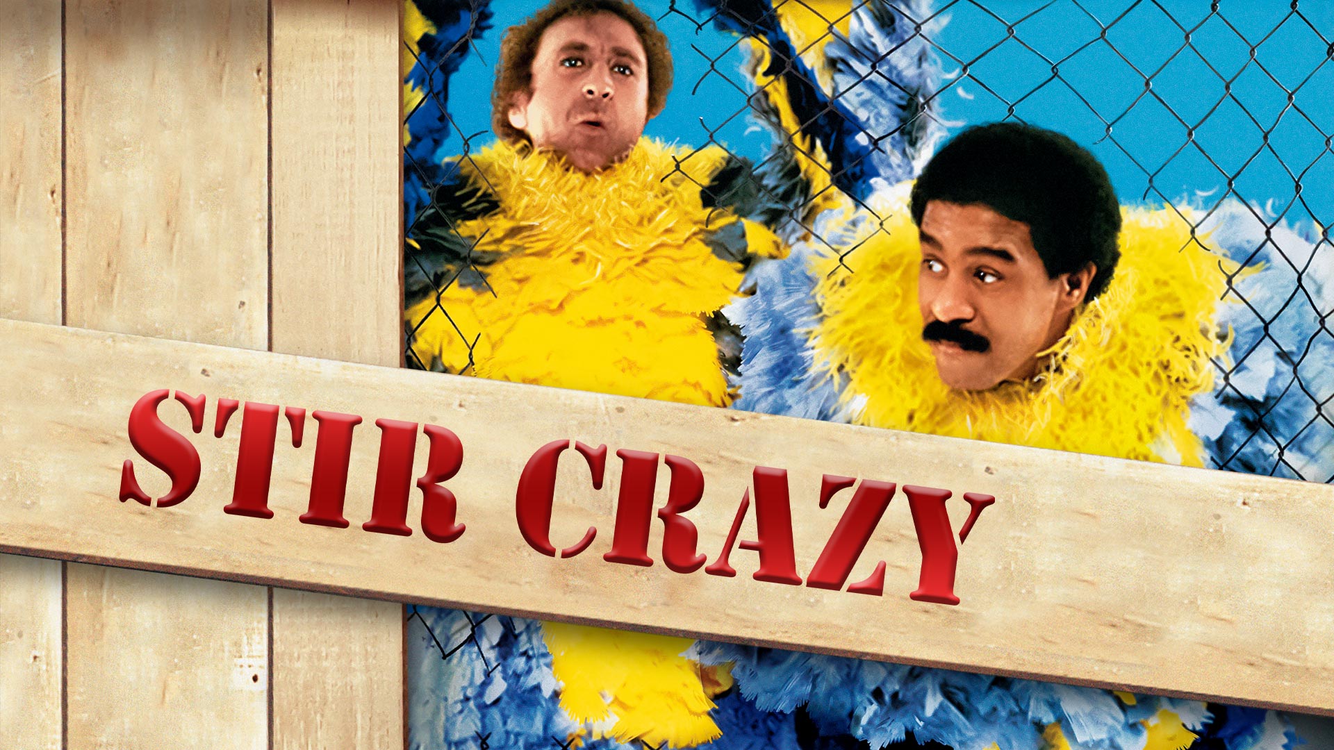 Stir Crazy - Wilder & Pryor’s Hilarious Prison Breakout