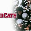 Wildcats - A High-Energy Gridiron Comedy of Grit & Grace