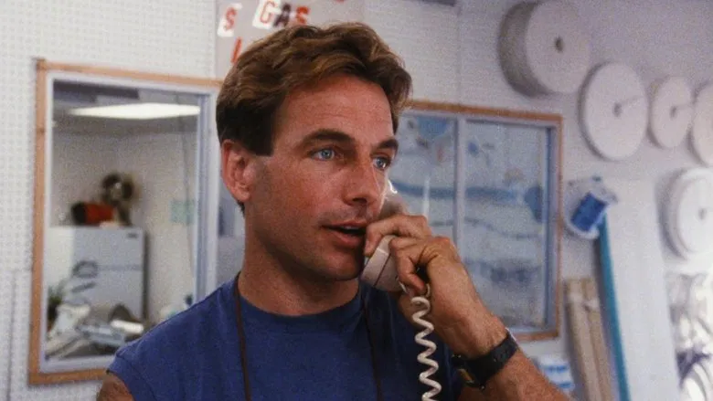 Prince of Bel Air - Mark Harmon’s Smooth 80s Dramedy