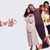A New Life - Alan Alda’s Heartfelt Divorce Comedy